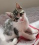 Kiki (4)